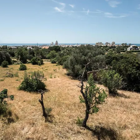 Sao Miguel - * Armação de Pêra