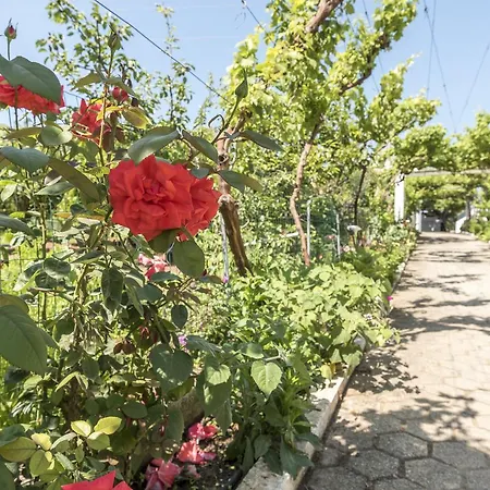 Sao Miguel - Prázdninový dům Armação de Pêra