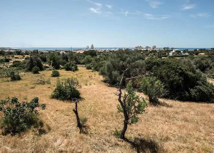 Sao Miguel - * Armação de Pêra