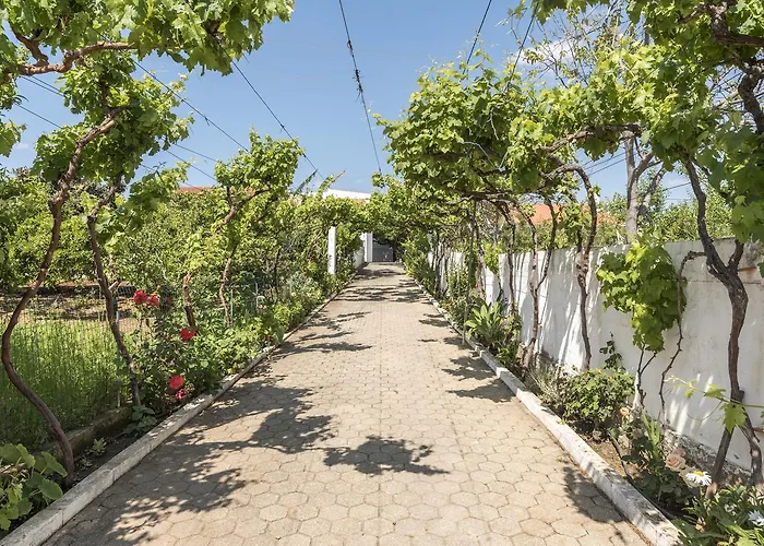 Sao Miguel - * Armação de Pêra