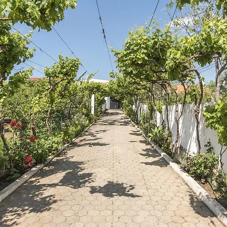 Sao Miguel - * Armação de Pêra