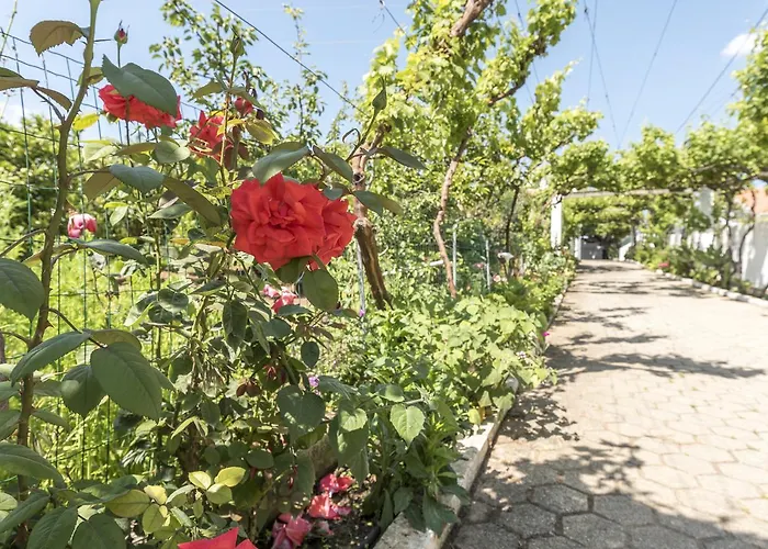 Sao Miguel - Semesterbostad Armação de Pêra